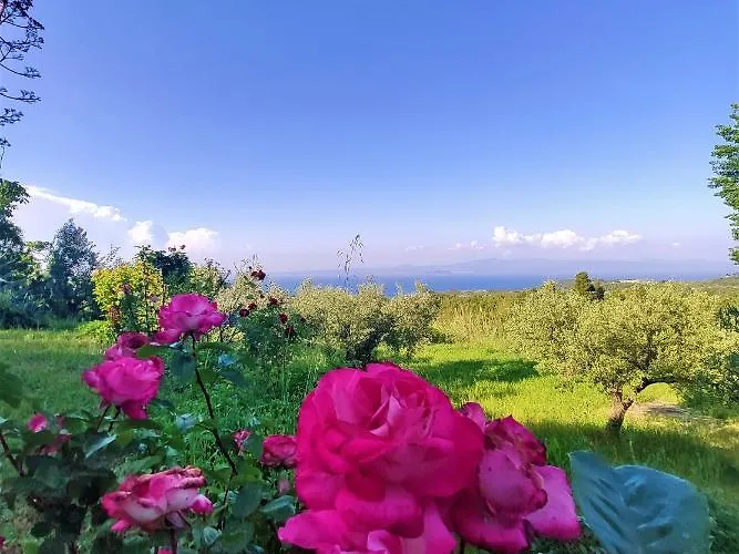 I Gabbiani * Pefkochori