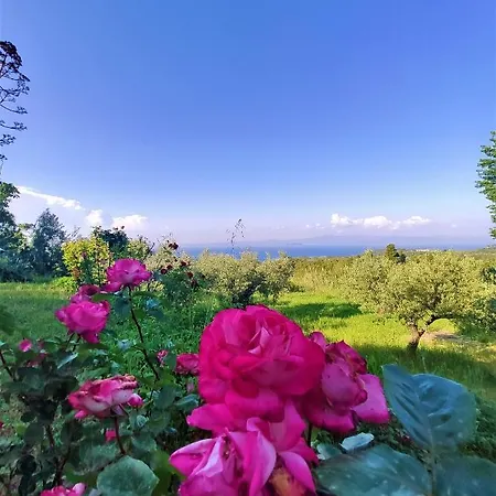 I Gabbiani * Pefkohóri